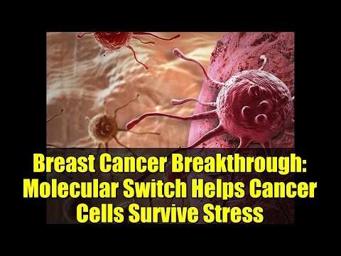 Breast Cancer Breakthrough: Molecular Switch Helps Cancer Cells Survive Stress