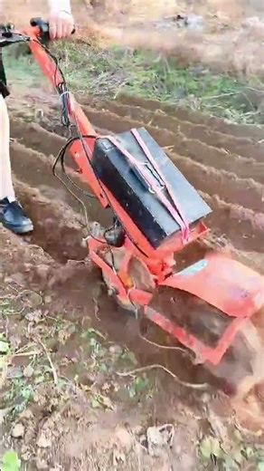 Revolutionize Your Lawn Care: The Ultimate Electric Mower Guide