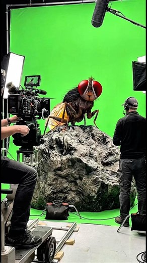 Makkhi Behind The Scenes 🔥 #eega #ytshorts #shorts #behindthescenes #makkhi