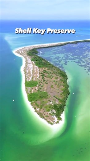 15 reactions | Do you think it looks like Florida? ️ Shell Key...