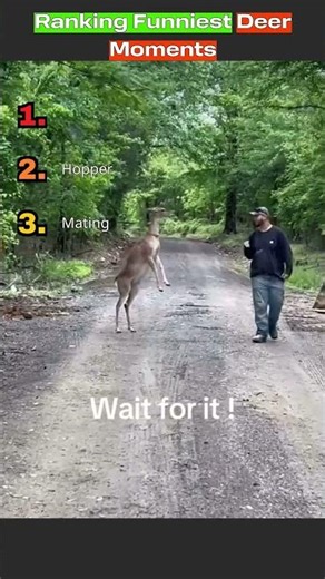🦌😂 Ranking The Funniest Deer Moments! 😱