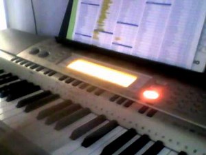 Casio WK-200 In-Depth Review #3