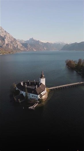 Best Meme T Shirts 2025 | Selling Meme Shirts Online (Viral Design Ideas)