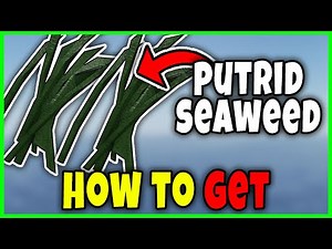 How to GET PUTRID SEAWEED FAST in FISCH - BEST METHOD to OBTAIN PUTRID MUTATION Roblox