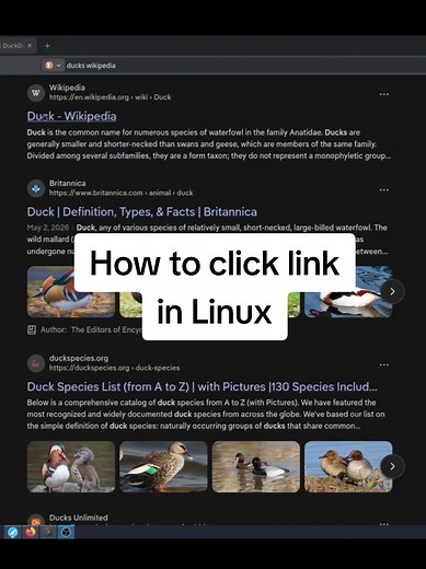 I love ducks #Linux #tech #guide #arch | Linux