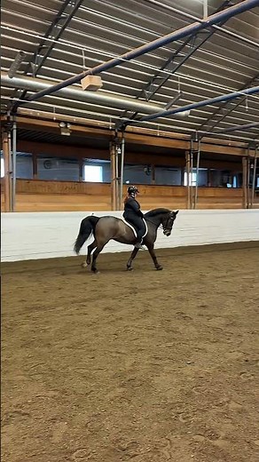 Första galoppen barbacka på 10 år för min del