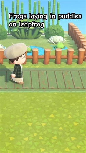 Frogs laying in puddles on leapfrog #frogcore #swamp #acnh #animalcrossing #gameplay #gaming