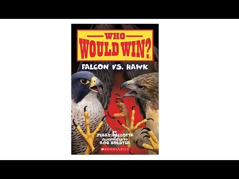 Who Would Win? - Falcon vs Hawk