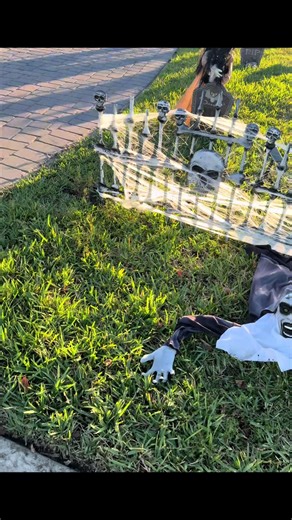 Dj Knockoutt (@djknockoutt)’s videos with Happy Halloween 2025 - Tech House - Slick Stomp