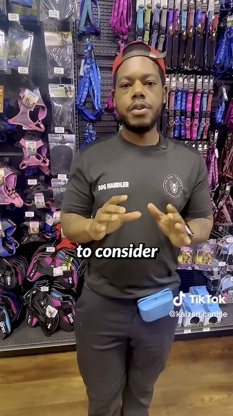 How to Handle Multiple Dogs Fighting in Your Home