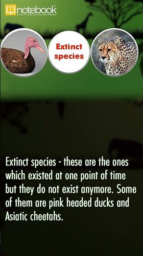 Forest and Wildlife Resources | CBSE Class 10 Geography | Complete Chapter Guide | Notebook Leaning