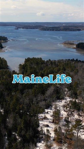 31K views · 884 reactions | Ever wonder where Maine’s freshest flavors come from? This weekend on Maine Life, we’re exploring local farms and craft spirits with Real Maine Join us for a day filled with farms, friends, and fun — catch all the action this Saturday at 7pm on NEWS CENTER Maine! #MaineLife #RealMaine #SupportLocal #FromMaineWithLove #farm #farmfresh | Maine Life Media | Facebook