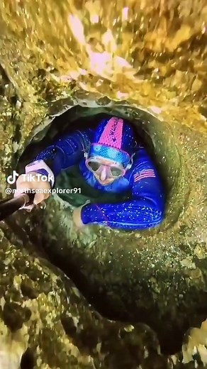 Discovering the Underwater World: Insights into Ocean Life