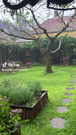 Emma Neilsen Lifestyle and Travel Channel Highlights