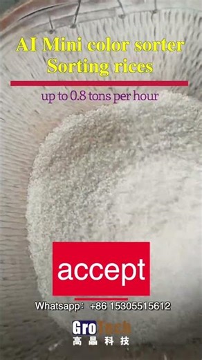 Rice Color Sorter in Action! Amazing Sorting Precision by GroTech Machine #colorsorter