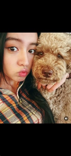 Kōki 木村拓哉 工藤静香 Cocomi @koki @takuya_kimura_takuya @kudo_shizuka @cocomi_553_official