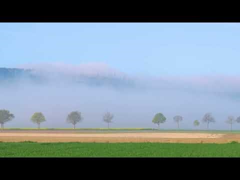 Nebel 🥱 #zeitraffer