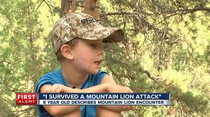 1.9K views · 49 reactions | VIDEO: "I survived a mountain lion attack," said 8-year-old Pike Carlson with a smile. His dad cries every time he talks about the moment he saw his son's head in the bit cat's mouth. | Jaclyn Allen Denver7 | Facebook