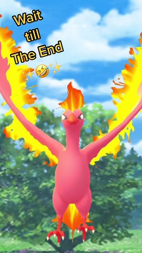 Go Player Power on TikTok