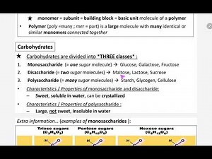 1.2 Formation and breakdown of maltose ( disaccharide)