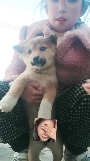对你讲啊啊啊