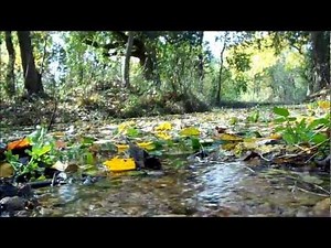 Big Spring Historic Natural Spring Dallas Texas