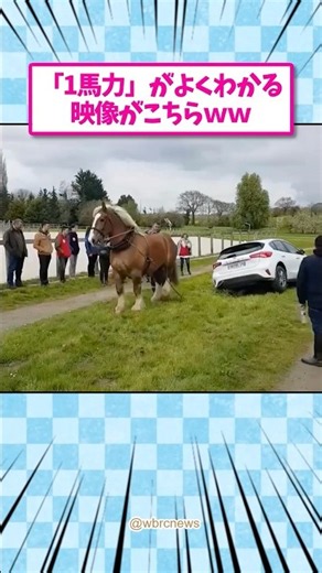 Here Is a Video That Perfectly Explains 1 Horsepower