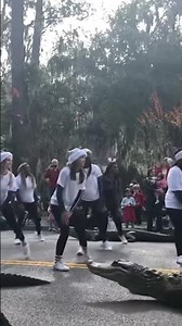MRHS cheer performance at Xmas parade with gators #youtubeshorts #fyp #dance#viral#ai
