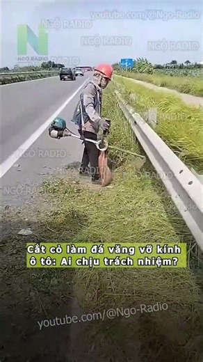 Grass Trimming Shatters Car Windshield: Who Is Liable?
