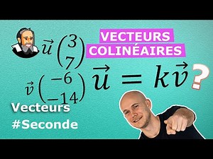 Collinear Vectors with Proportionality - Solved Exercise - Second Year