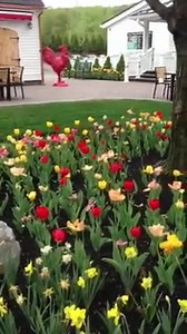 44 reactions · 6 comments | The floral beds outside The Farm Table are at their stunning spring peak, a beautiful bonus to dining on our outdoor decks. | The Farm Table | Facebook