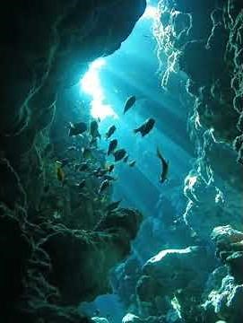 Rio - Beautiful Creatures (sped up/nightcore + reverb)