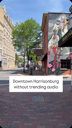 101 reactions · 12 shares | The sounds of downtown #Harrisonburg on a Tuesday walk from City Hall to the Public Safety Building! | Harrisonburg, VA - Government | Facebook