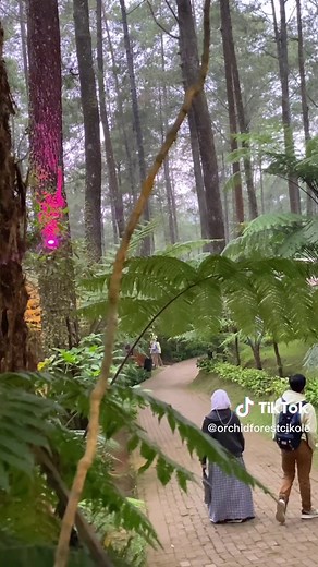 One fine afternoon at orchid forest, Cikole #OrchidForest #OrchidForestCikole #Foryou #wisatalembang #wisataalam