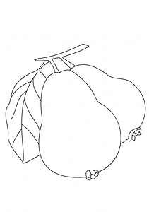 Coloring Pages | Coloring Pages Download