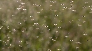 2019 Best Insect Repellents