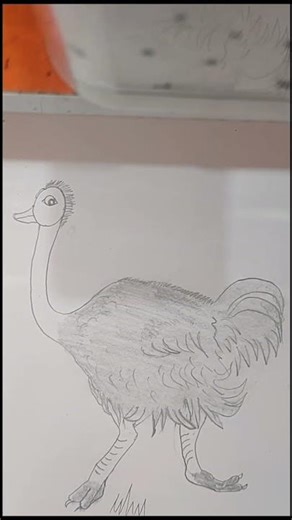 "Step by Step Drawing 🎨 | Watch Art Come to Life!"