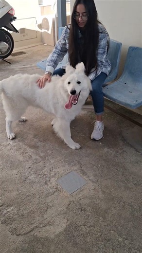 Ειρήνη &(Poseidon)Η συμβίωση για πολλούς ανθρώπους είναι πηγή χαράς τρυφερότητας καισυντροφικότητας