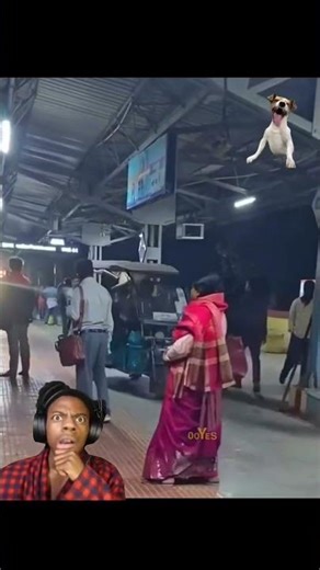 Auto driver day by day 📈 🤣🤣🤣 #shorts #shortsfeed #funny #youtubeshorts