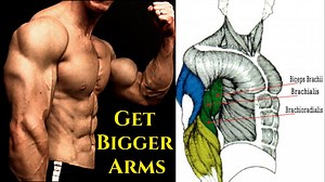 Sleeve-Busting Arm Routine | Get Bigger Biceps