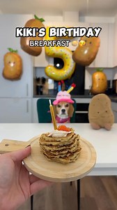 10K views · 370 reactions | Birthday breakfast #dog #beagle #birthdaydog | Beagles Kiki & Koko | Facebook