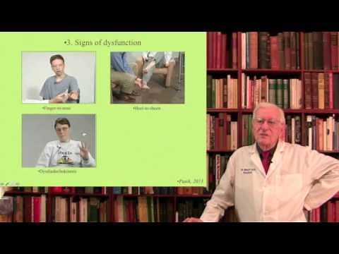 Lecture 2. The Cerebellar System Structure, Function and Dysfunction