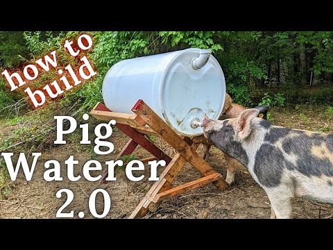 Pig Waterer 2.0 | How to build a horizontal 55 gallon drum pig watering system.