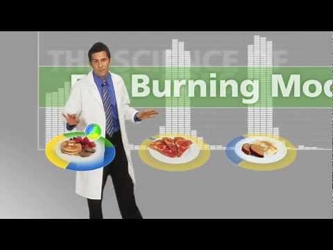 The Food Lovers Fat Loss System - Explained