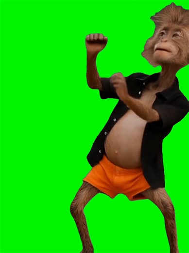 No thoughts. Just dance 🐒🩳💃 Instant loop. Posted by boogiebug0 A viral monkey dancing in shorts to the song Dig Dig Maso. High energy, goofy, and impossible to ignore. Tap CapCut - Try this template anchor and • Drop yourself or a character in for chaotic fun • Use it for dance trends or irony memes • Perfect when the beat takes over #capcut #capcutpioneer #pioneertemplate #monkeymeme #danceenergy