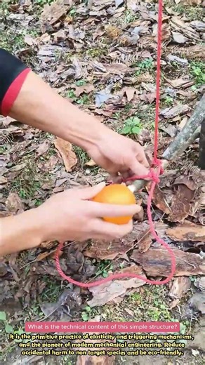 Stick & Rope, Simple Trap Craft #satisfying #lifewisdom #clever