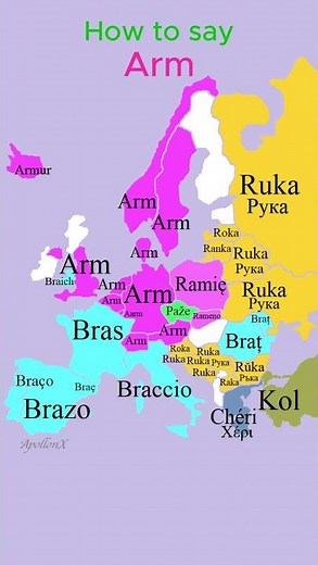 How to say Arm | Body Parts | European Languages Comparison #shorts #comparison #map #language
