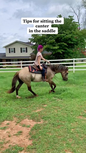 Cantering Tips: How to Improve Your Riding Skills