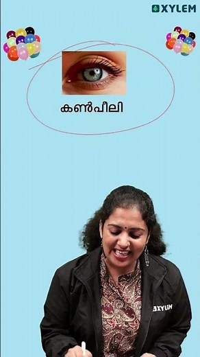 ഉറപ്പായചോദ്യംകടങ്കഥകൾ | Xylem Class 4