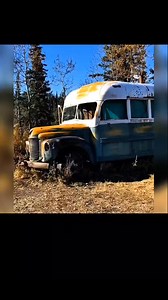 The "Christopher McCandless" short story 🚍🌲 #wilderneness #naturelovers #logcabin #oldhouse #nature #history #wilderness #bonfire #christophermcclandless | Bonfire 2.0